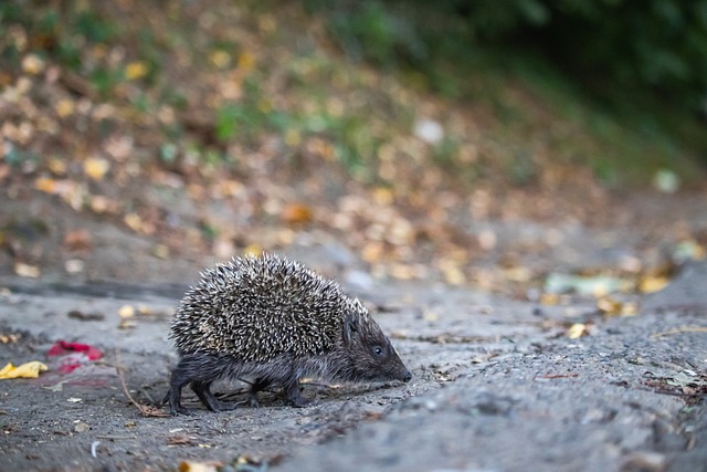 人开始关注 人开始关注